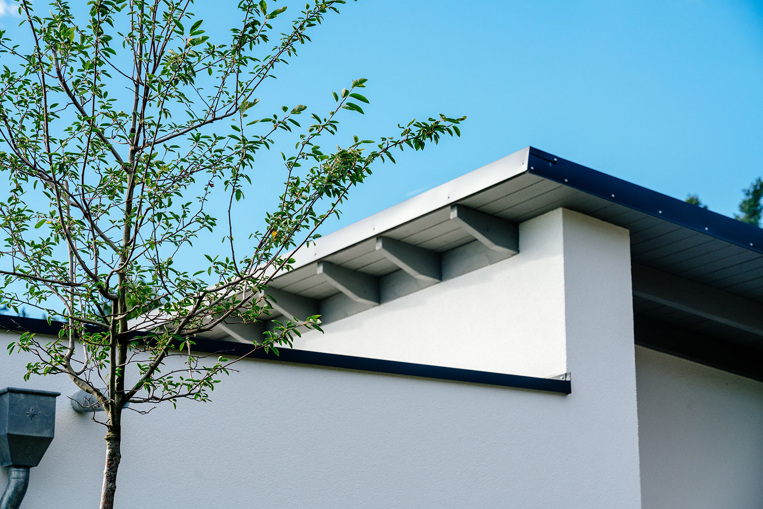 sitec bau 19